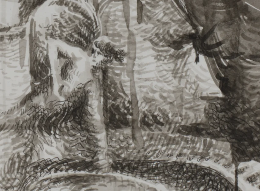 Detail-2 Pen and Ink drawing Pensamiento Volador for sale by Pablo Montes O’Neill